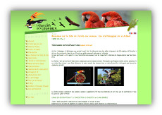 Jardin aux OIseaux - Création de site internet